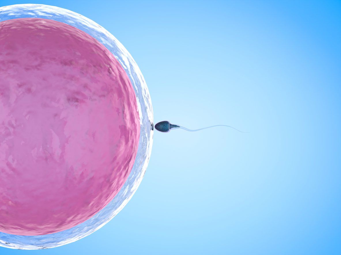 Intrauterine Insemination (IUI)